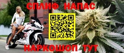 а пвп мука Кингисепп