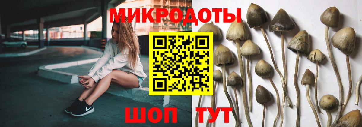 Галлюциногенные грибы мицелий Волхов